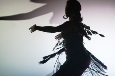 tenacity-by-joey-kennedy-silhouette-large